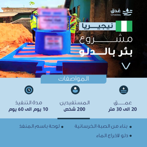 بئر بالدلو - نيجيريا